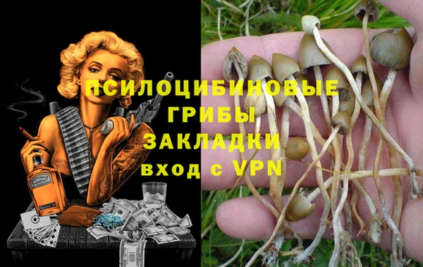 дмт Карталы